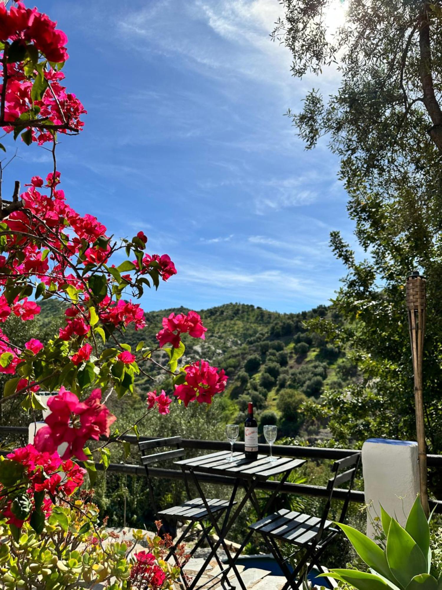 Casa Golondrinas Holiday home